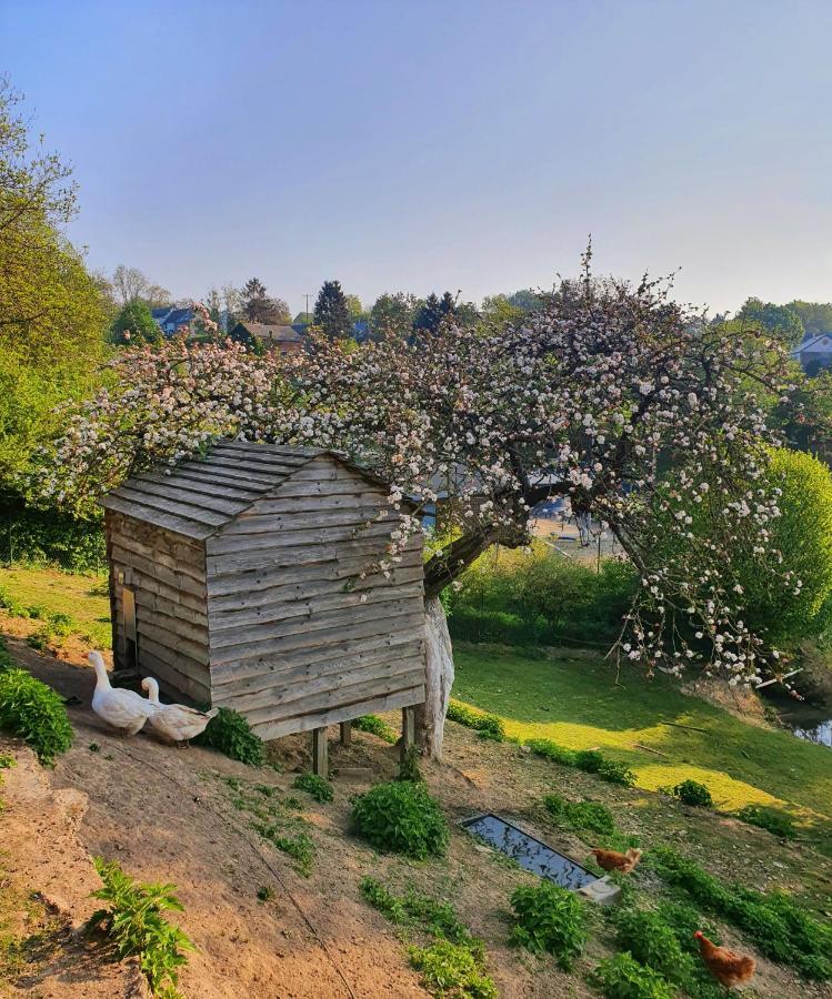 La Maison Du Sabotier Custinne Екстер'єр фото