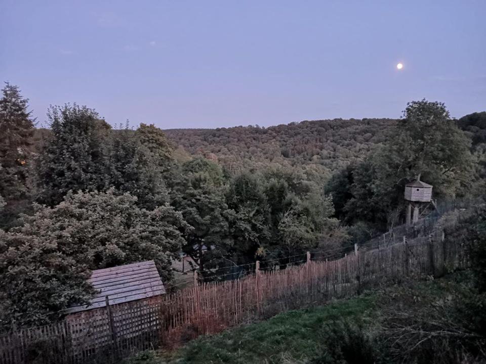 La Maison Du Sabotier Custinne Екстер'єр фото